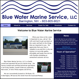 blue water marine services screen shot